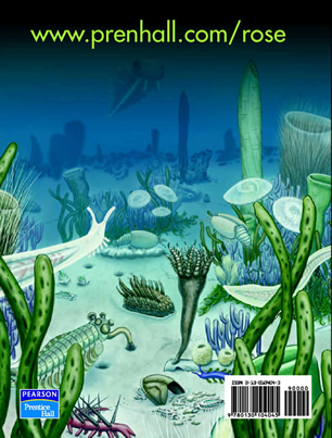 back book cover